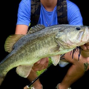 Meet your Posher, Dean